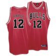 Bulls Reebok Men's 04-05 Authentic Raod Jersey